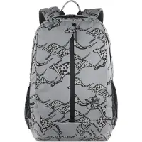 Chiemsee Jump N Fly Dagrugzak 46 cm Laptop compartiment grijs