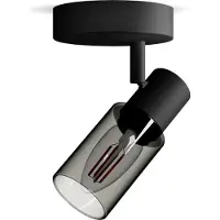 Philips Palms plafondspot | 1x E14 | Rookglas