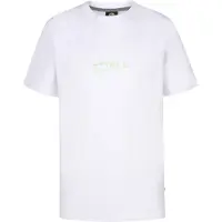 Petrol Industries Shirt 'Bayleaf' groen / wit