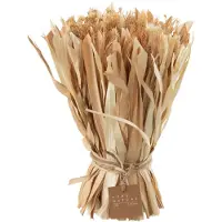 J-Line Bundel gedroogde bloemen naturel small