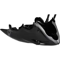 Bodystyle BUGSPOILER ** CB600 HORNET ONGELAKT