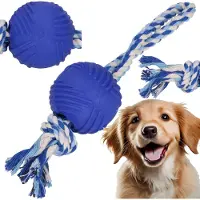 Springos Hondenspeelgoed - Kauwbeen - Apporteren -Honden - Speeltje -Blauw - Rubber