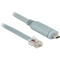 DeLOCK USB-C (m) naar RJ45 (m) seriële RS232 adapter / grijs - 1 meter