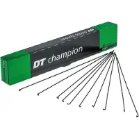 Dt Swiss Champion haakse spaken 2x264 mm roestvrij staal