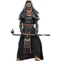 Hasbro Star Wars Actiefiguur Tusken Warrior 10 cm - The Book of Boba Fett Vintage Collection Multicolours