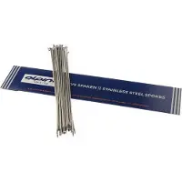 Alpina spaken 14g (2,00mm) 270mm rvs (p36)