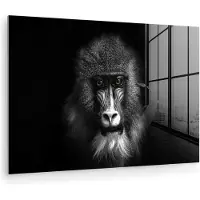 MuchoWow Glasschilderij - Foto op glas - Acrylglas - Aap - Dier - Ogen - Bruin - Zwart-wit - 150x100 cm - Glasschilderij aap - Kamer decoratie - Schilderij glas - Glasschilderij dieren - Schilderijen woonkamer
