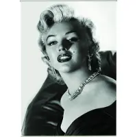 Mars & More Marilyn Outdoor TextielPoster fotoprint 88x118cm
