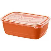 Rotho ECO Magnetrondoos 1.9L Papaya Rood