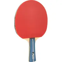 Joola Tafeltennisbatjes