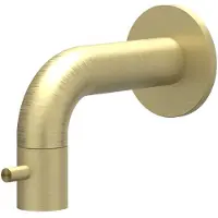 Ivy Aia Fonteinkraan Concord Wandmodel Geborsteld Mat Goud PVD