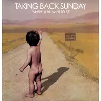Taking Back Sunday - Where You Want to Be (LP)