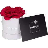 Relaxdays flowerbox - 1 roos - rond - wit - cadeau voor bruiloft en Valentijn - decoratie - rood