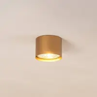 Argon Plafondspot Chloe vast, goud Chloe, dimbaar, messing / goud, Woon-/ Eetkamer, metaal, Modern, halogeen spot