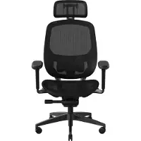 Razer Chaise gaming ergonomique Fujin Pro Noir
