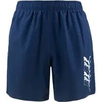 Puma zwembroek voor heren SWIM CATS MEN MID shorts zwemshorts