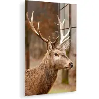MuchoWow Glasschilderij 120x180 cm - Schilderij acrylglas - Hert - Dier - Bos - Herfst - Hertenkop - Bruin - Natuur - Foto op glas - Muurdecoratie woonkamer - Wanddecoratie slaapkamer - Schilderijen