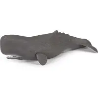 Papo - Figurine Potvis