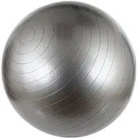 Avento Fitnessbal -Gymbal - Ø 75 cm - Zilver