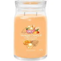 Yankee candle - Mango Ice Cream Large Jar Geurkaars - 90 branduren - twee lonten