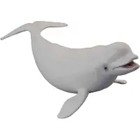 Collecta Figurine - Witte Walvis - (L) - Zeedieren - Handgeschilderd - Miniatuur