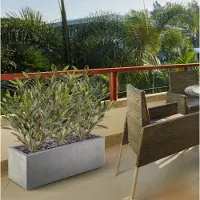 Maxifleur Kunstplanten Olijf Kunstplant 50cm UV