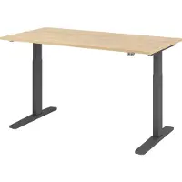 Hjh OFFICE PRO XMKA 16 G - 160 x 80 Eiken Tafelhoogte I Elektrisch in hoogte verstelbaar