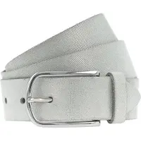 Vanzetti Riem zilver