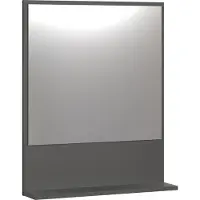 CALICOSY Wandspiegel met 1 plank l60 cm purebliss