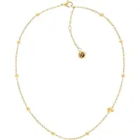 Tommy Hilfiger TJ2780817 Dames Ketting - Collier