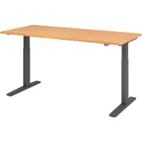 Hjh OFFICE PRO XMKA 19 G - Beuken 180 x 80 Tafelhoogte I Elektrisch in hoogte verstelbaar