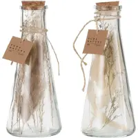 J-Line Fles met gedroogde bloemen glas naturel medium assortiment van 2