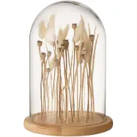 J-Line 22247 Stolp Droogbloemen Ecru/Bruin Glas Hout Small - 16,5 x 16,5 x 25 cm