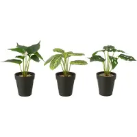 J-Line Planten in pot kunstmatig groen assortiment van 3