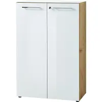Germania Archiefkast GW-Monteria Deuren met glasplaat, afsluitbaar, breedte 80 cm, Made in Germany