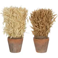 J-Line Oogst in terracotta pot naturel assortiment van 2