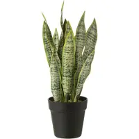 J-Line Dracaena trifasciata in pot kunstmatig groen medium