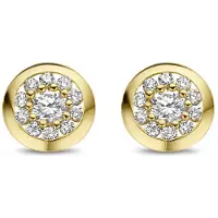 New Bling 9NBG-0267 Gouden Oorknopjes - Dames - Zirkonia Steentjes - In Rond Kastje Gezet - 5,6 mm Doorsnee - 14 karaat - Goud