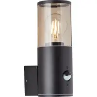 Brilliant Sergioro - Buitenlamp - IP44 - Sensor - E27 1x max40W - Zwart