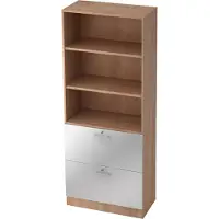 Hjh OFFICE PRO SIGNA G 7300 RE - Walnoot/Zilver Hoogte van de map | 5 OH Kast met ophangsysteem ( afsluitbaar) Rail handvat (kunststof)