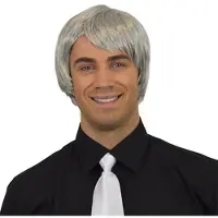 Comedia Carnaval verkleed pruik - Brits/Popster - grijs - kort haar stijl - heren - opa/oude man