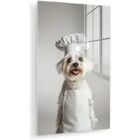 MuchoWow Glasschilderij 60x90 cm - Schilderij acrylglas - Hond - Wit - Kok - Foto op glas - Muurdecoratie woonkamer - Wanddecoratie slaapkamer - Schilderijen
