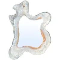 Ptmd spiegel hyro - 50x10x55cm