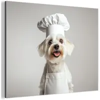 MuchoWow Aluminium schilderij 40x30 cm - Wanddecoratie metaal - Hond - Wit - Kok - Metalen muurdecoratie woonkamer - Decoratie industrieel - Foto op dibond - Industriële accessoires slaapkamer