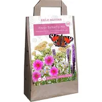 Jub holland Happy Butterfly Mix - 14 Bloembollen / Knollen Gemengd - Trekt Vlinders Aan - Zomerbloeiers - Garden Select