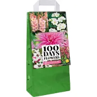 Jub holland 125 Gemengde Zomerbollen - Zomerbloeiende Bloembollen Mix - Voordeelverpakking - Verschillende Kleuren - Grootverpakking