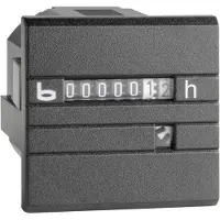 BAUSER 632 A.2/008-001-1-1-001 632 A.2/008-001-1-1-001 Bedrijfsurenteller 632 serie