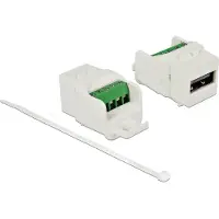 DeLOCK USB-A - terminal block Keystone module | USB2.0 | wit
