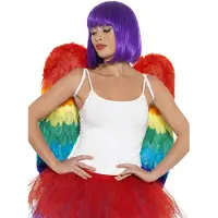 Smiffys Grote veren vleugel in mooie regenboog kleuren