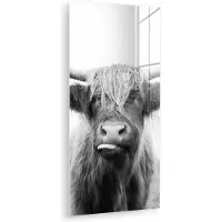 MuchoWow Glasschilderij - Foto op glas - Acrylglas - Dieren - Schotse hooglander - Koe - Gras - Natuur - Wanddecoratie - 40x80 cm - Schilderij glas - Glasschilderij Schotse hooglander - Muurdecoratie